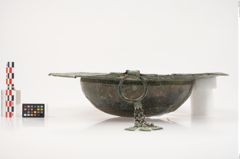Foto von Bronzebreitrandschale (NHMW-PRAE-025543)